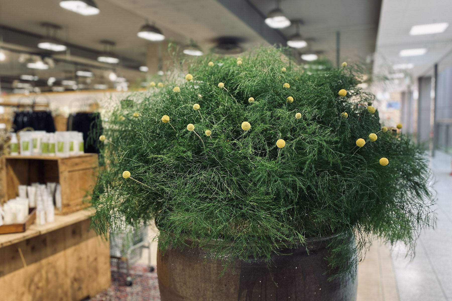 栃木、宇都宮、花屋、花束
